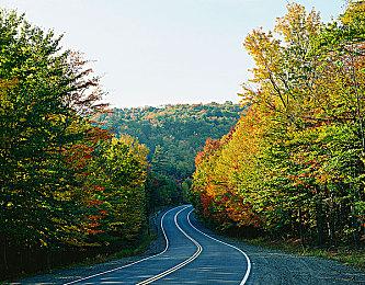 肉鸽DBG惊喜之作《Indies' Lies》即将于3月26日开启免费试玩